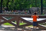 Manila Zoo